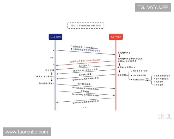 bob真人会员登录入口官方验证流程详解与操作指南