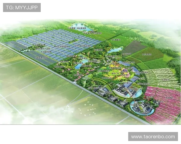 九州bet娱乐平台未来发展战略规划与行业竞争力提升的核心方向深入分析 九州bet娱乐平台未来发展战略规划与行业竞争力提升的核心方向深入分析