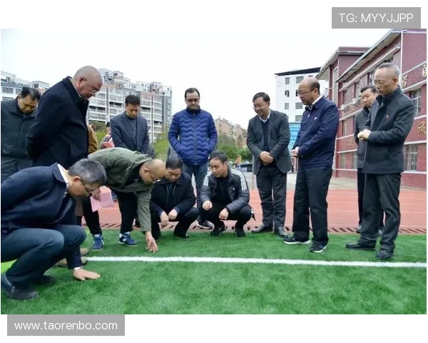 半岛体育在线：如何利用平台丰富的内容资源提升你的体育知识水平