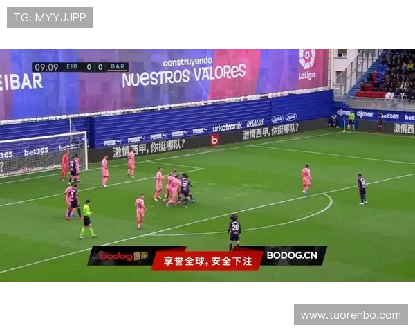 星空体育官网在线登录遇到困难怎么办？实用解决方案全攻略