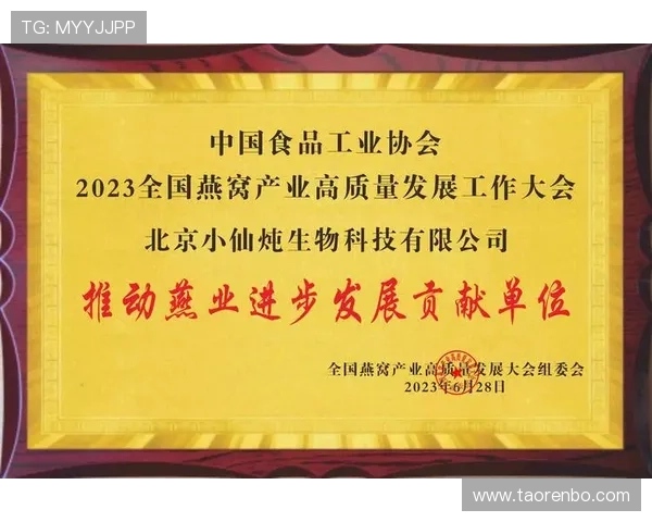 满冠娱乐专注于内容创新与用户体验,推动行业向更高标准发展 满冠娱乐专注于内容创新与用户体验,推动行业向更高标准发展